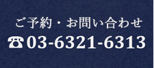 03-6321-6313